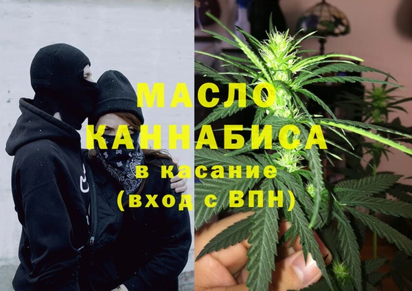 индика Балабаново