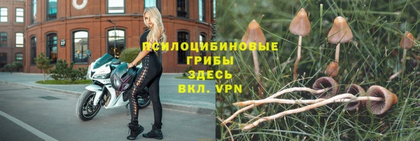 индика Балабаново