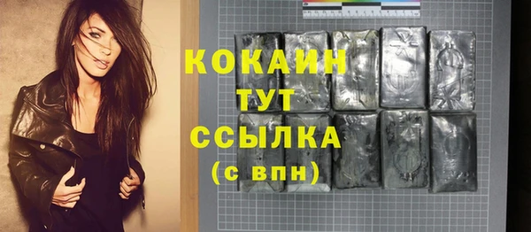 индика Балабаново