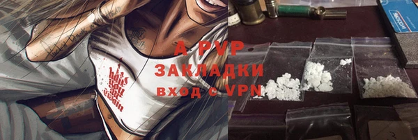 индика Балабаново