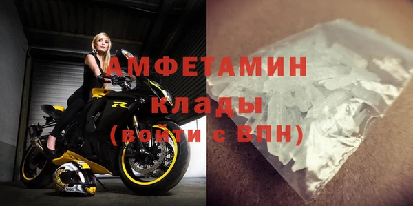 индика Балабаново