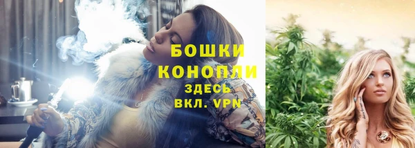 молекула духа Балахна