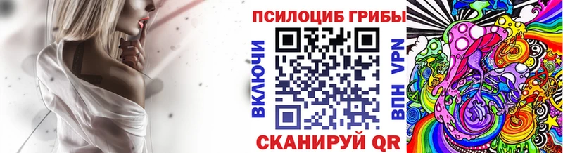 сколько стоит  Белинский  Псилоцибиновые грибы Cubensis 